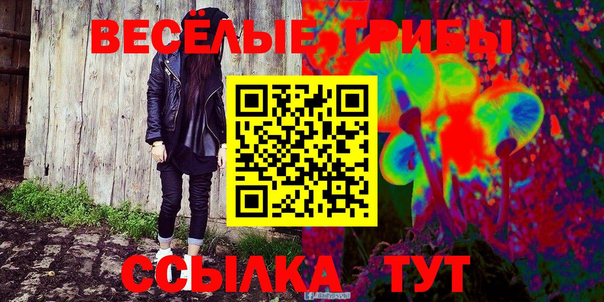 Ставрополь  Галлюциногенные грибы прущие грибы  Вход с VPN 